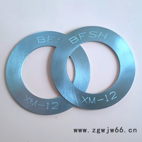 耐酸钢紧固件XM-12垫圈图4