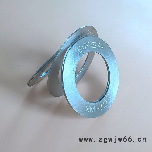 耐酸钢紧固件XM-12垫圈图5