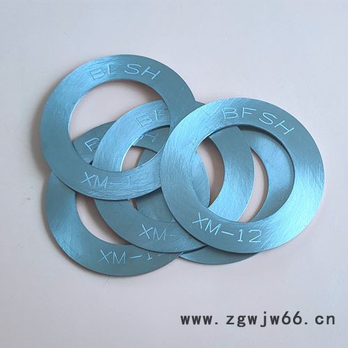 耐酸钢紧固件XM-12垫圈图3