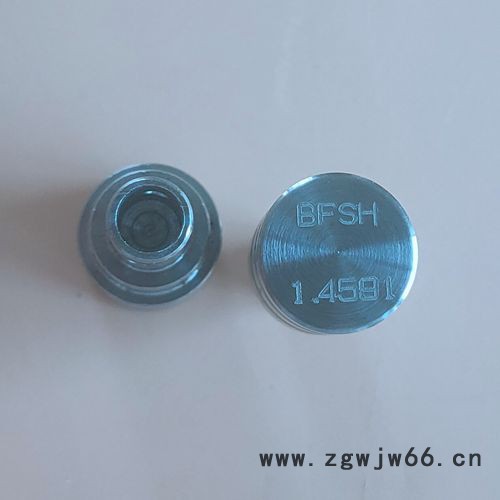 高强度耐腐蚀紧固件1.4591螺丝图8