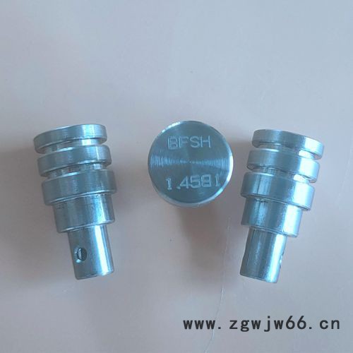 高强度耐腐蚀紧固件1.4591螺丝图2