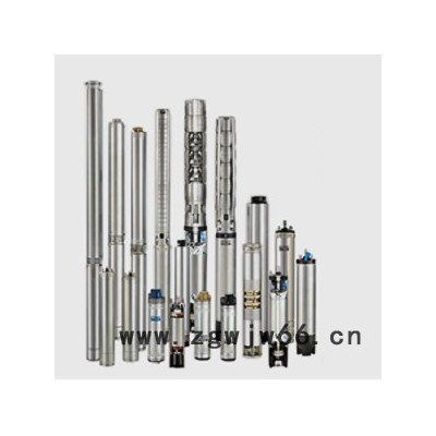 静音不锈钢管中泵低噪音超节能批发富兰克林电机进口潜水泵卧式立式安装厂家生产批发配套南京瑞塔