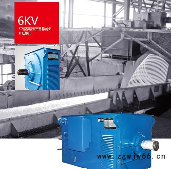 Y YR系列6kV 10kV高压大功率三相异步电机图2