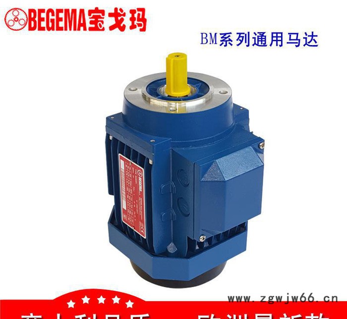 长沙厂价直销意大利BEGEMA宝戈玛工业通用三相异步电机2.2kwABB款图3