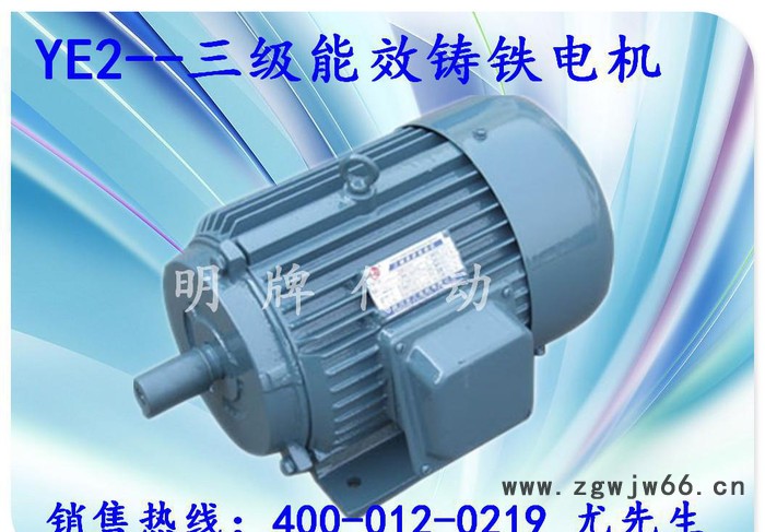 东莞明牌三相异步电机Y2-90L4-1.5KW4极高效节能铸图2