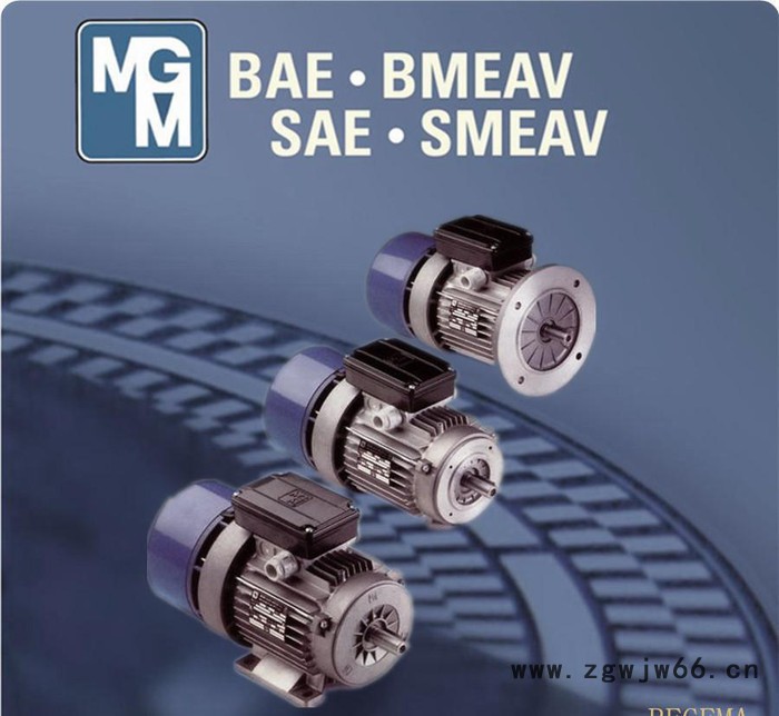 原装进口意大利MGM刹车电机，专业代理MGM刹车马达，意大利BA71A2图3
