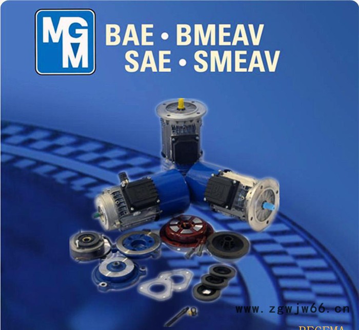 原装进口意大利MGM刹车电机，专业代理MGM刹车马达，意大利BA71A2图2