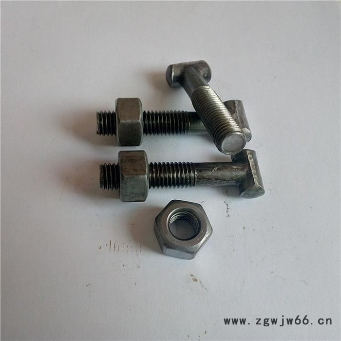 河北紧固件方头圆头扣件螺丝生产厂家图4