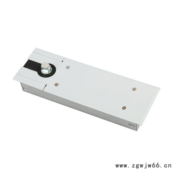 Dorma/多玛BTS75 家用地弹簧 室内地弹簧 地弹簧品牌 地弹簧直供图4