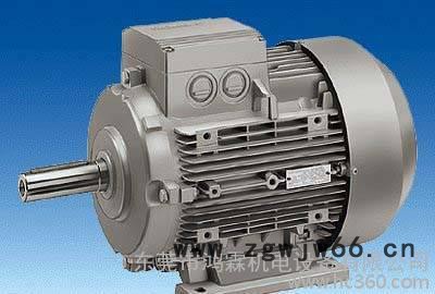 德国进口西门子三相变频电机1LG0107-4aa23KW图2