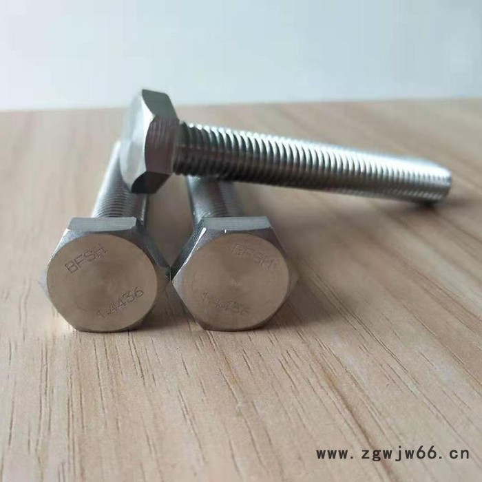 高温紧固件1.4436螺栓1.4436螺丝图2