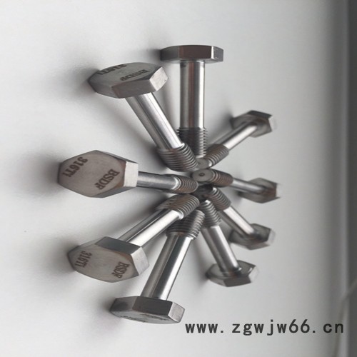 高温耐腐蚀紧固件316Ti螺栓图2