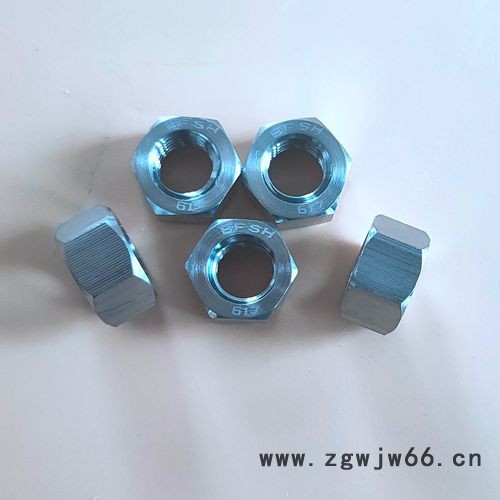 Inconel617螺母 高温耐腐蚀紧固件图2