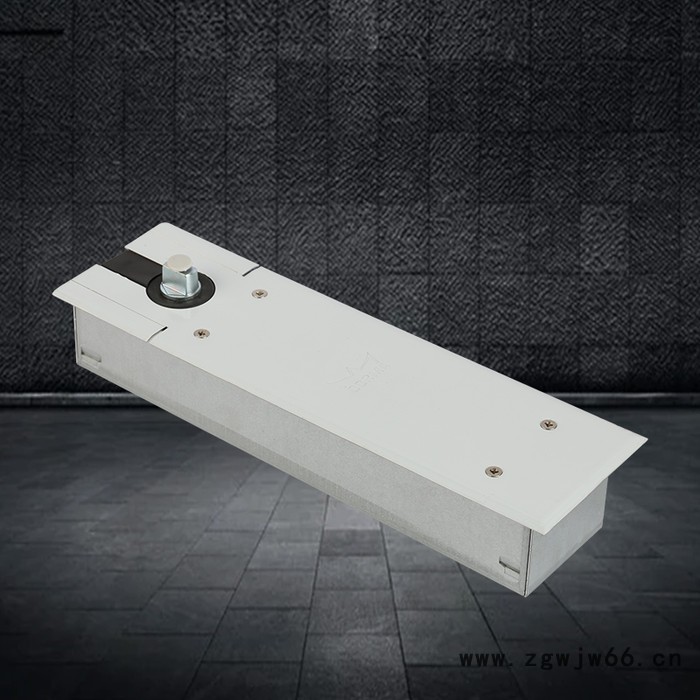 Dorma/多玛 多玛地弹簧 多玛品牌 多玛地弹簧厂家 多玛地弹簧售后 地弹簧维修 地弹簧报价 地弹簧批发图2