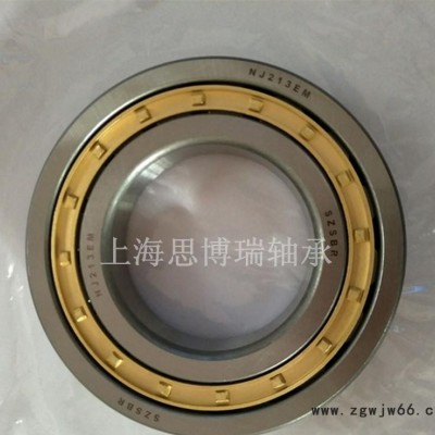 现货二类圆柱滚子轴承NJ213EM P6电机轴承 质量可靠 替代进口