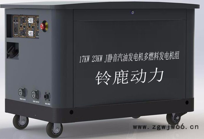 20kw进口汽油发电机图3