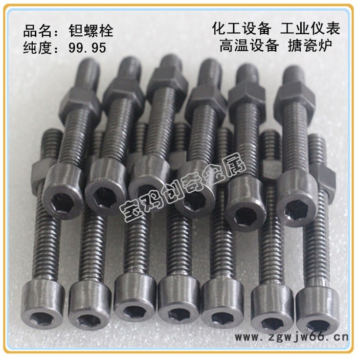 搪瓷炉专用钽螺丝 钽丝杆 钽紧固件