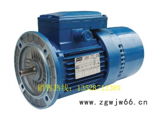 意大利SEIPEE刹车马达 意大利SEIPEE电机 意大利进口三相交流电机