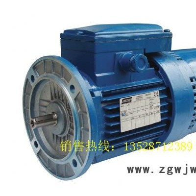 意大利SEIPEE刹车马达 意大利SEIPEE电机 意大利进口三相交流电机