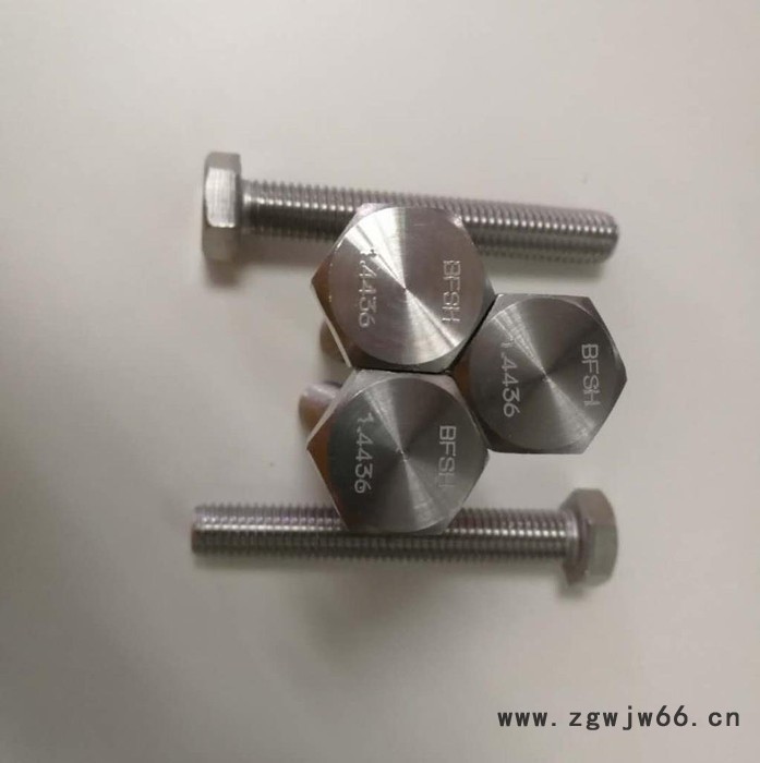 进口高温紧固件1.4436螺栓1.4436螺丝图3