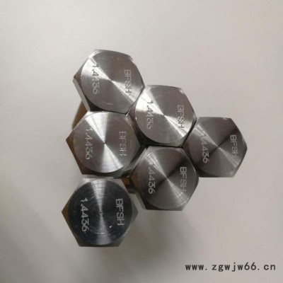 进口高温紧固件1.4436螺栓1.4436螺丝