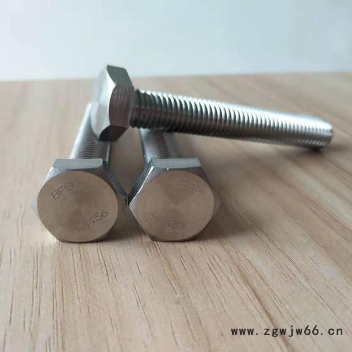 进口高温紧固件1.4436螺栓1.4436螺丝图2