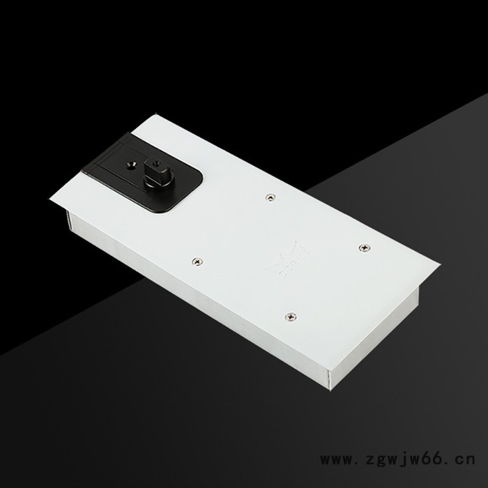 供应 多玛地弹簧 BTS65 地弹簧 多玛地弹簧价格 液压地弹簧 多玛地弹簧原装 欢迎来电咨询图5