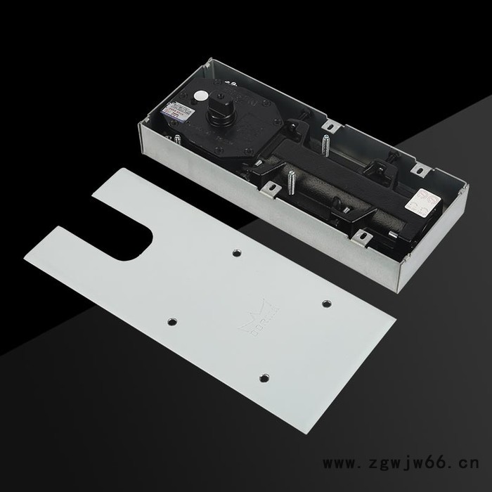 供应 多玛地弹簧 BTS65 地弹簧 多玛地弹簧价格 液压地弹簧 多玛地弹簧原装 欢迎来电咨询图7