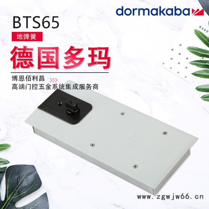 供应 多玛地弹簧 BTS65 地弹簧 多玛地弹簧价格 液压地弹簧 多玛地弹簧原装 欢迎来电咨询图3