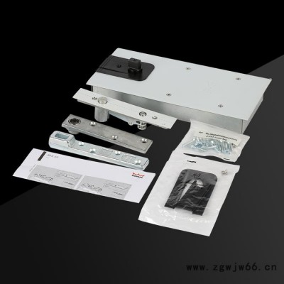 供应 多玛地弹簧 BTS65 地弹簧 多玛地弹簧价格 液压地弹簧 多玛地弹簧原装 欢迎来电咨询