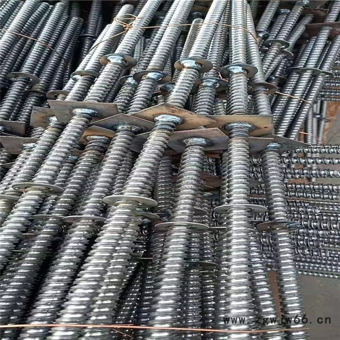 普斯利尔 厂家直供建筑工地紧固件穿墙止水螺杆丝杆