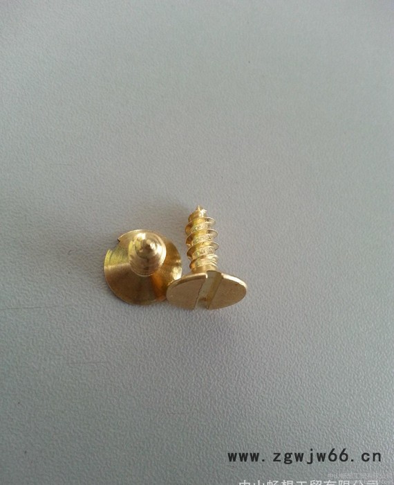 非标紧固件螺丝、异型紧固件螺丝图2