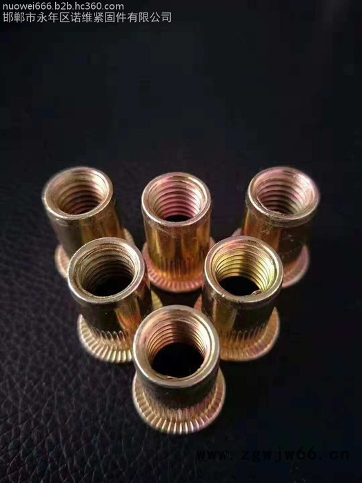 诺维紧固件厂家**拉铆螺母 铆螺母 平头竖纹铆螺母 滚花拉母M3-M12 彩锌