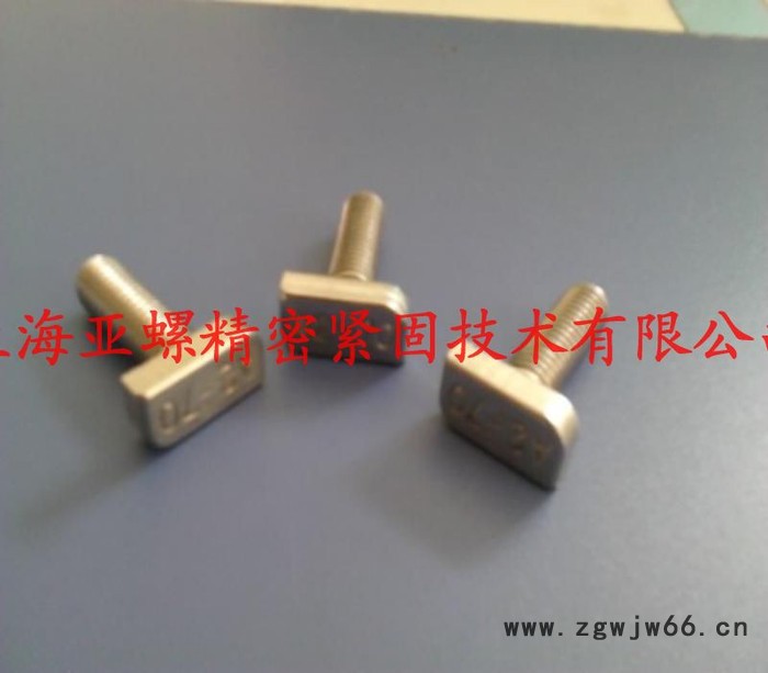 亚螺T型螺栓紧固件图4