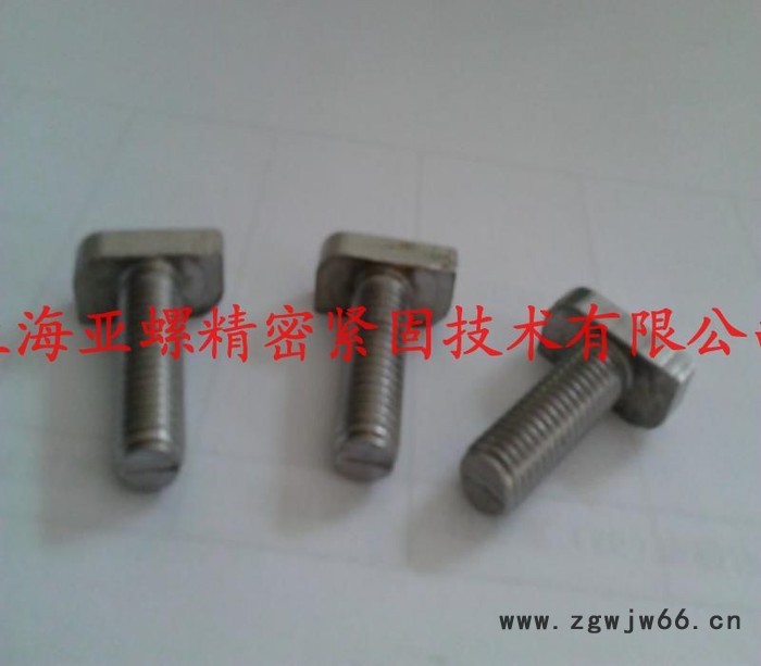 亚螺T型螺栓紧固件图2