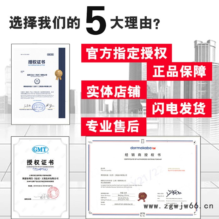 多玛BTS65 多玛地弹簧 地弹簧售后 多玛地弹簧价格 多玛地弹簧售后维修 欢迎咨询图3