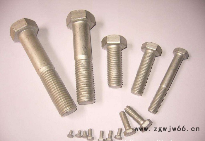 源头厂家直供热镀锌紧固件 热镀锌螺栓 热镀锌螺丝 热镀锌电力铁塔螺栓图2