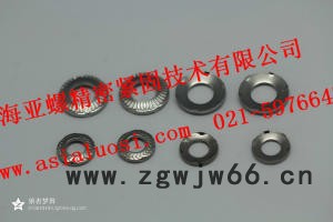 ATMDIN1.4529垫圈紧固件图4