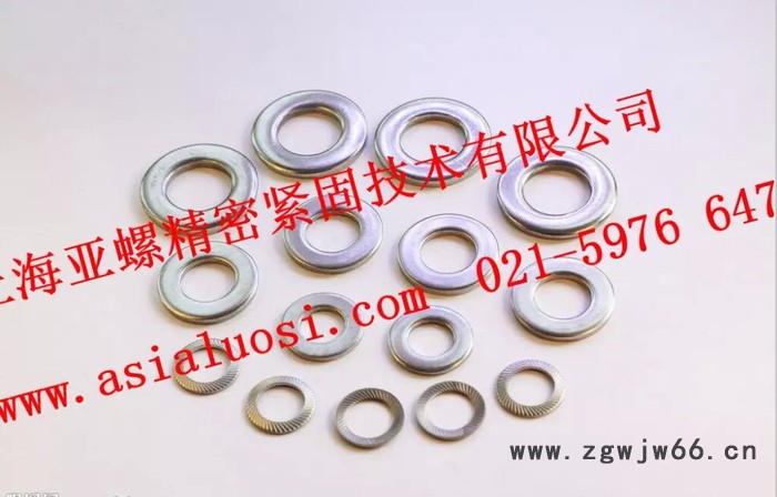 ATMDIN1.4529垫圈紧固件图2