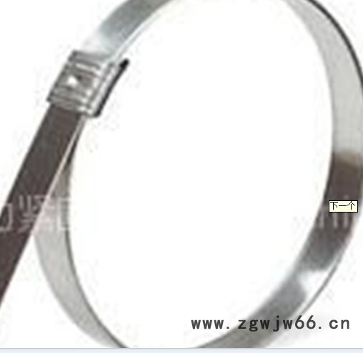 通力紧固件美式喉箍图2