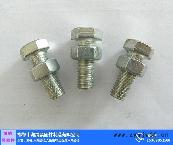江苏30栓-30栓-海纳紧固件图3