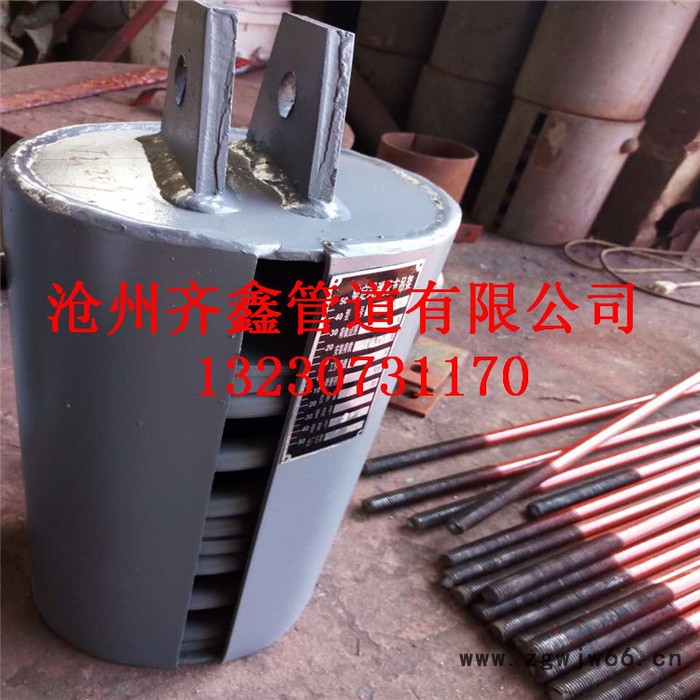 供应双吊板连接变力弹簧组件，变力弹簧组件图4