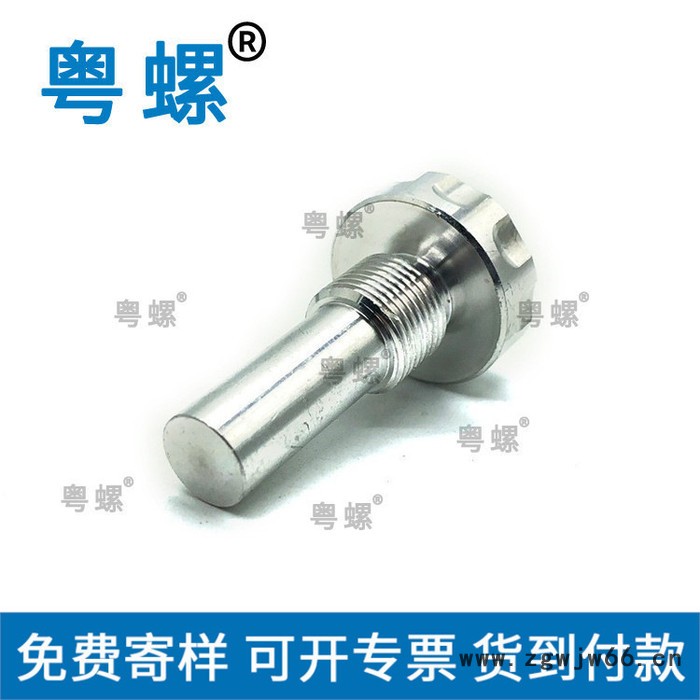 江门圆线弹簧螺丝厂家 粤螺生产电吉他调节弹簧螺丝 压簧图3