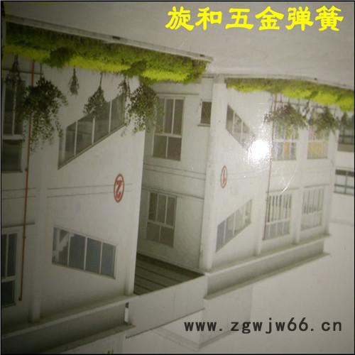 供应3816E-V19气压弹簧图4