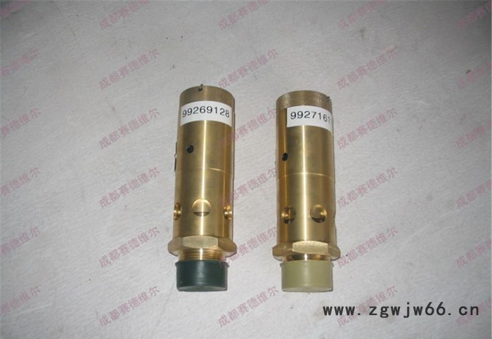 英格索兰弹簧式安全阀图3