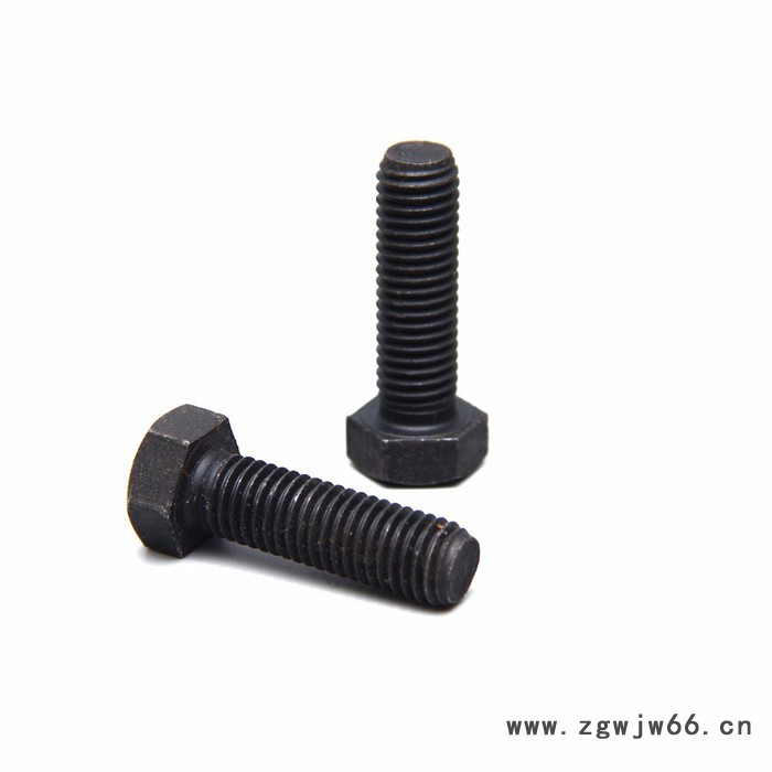 拍前询价 鑫航盛高强度螺丝 镀锌 紧固件 地脚螺丝图3