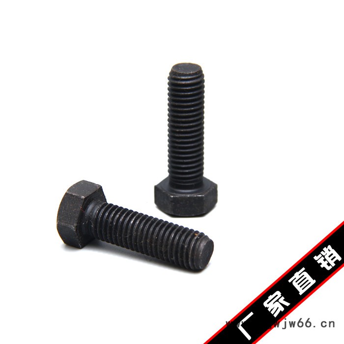 拍前询价 鑫航盛 高强度螺丝 镀锌 紧固件 地脚螺丝图3