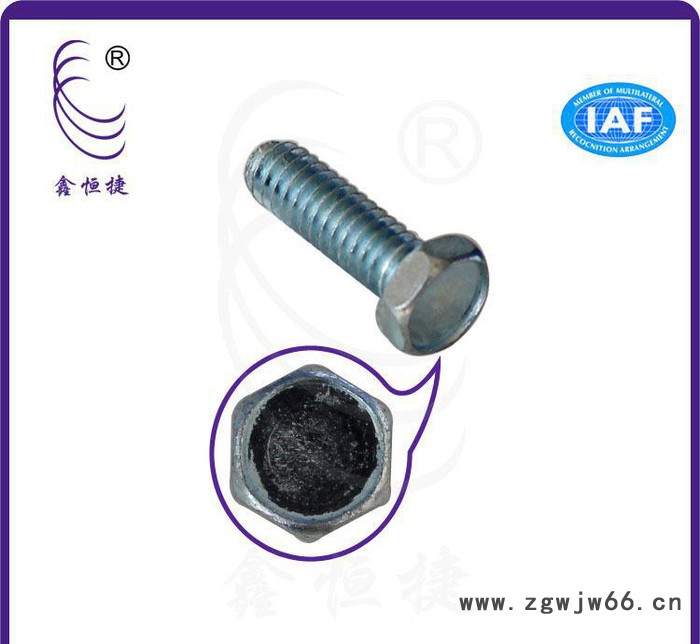 直销 国标六角带介凸缘螺丝 机械工业紧固件六角凸缘螺丝图2