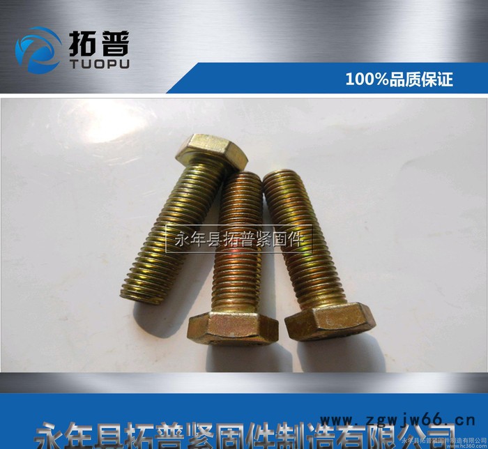 【热】低价紧固件 外六角螺栓 诚信图3