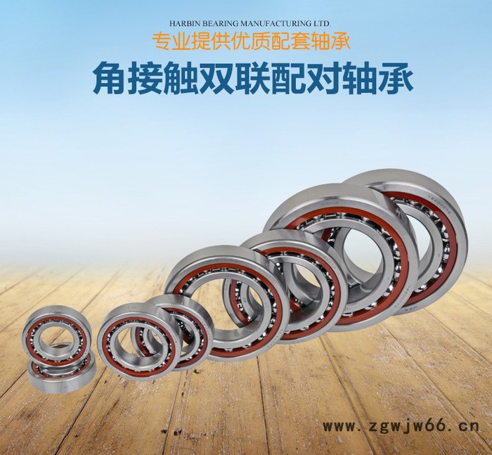 哈尔滨轴承  进口轴承  轴承图6